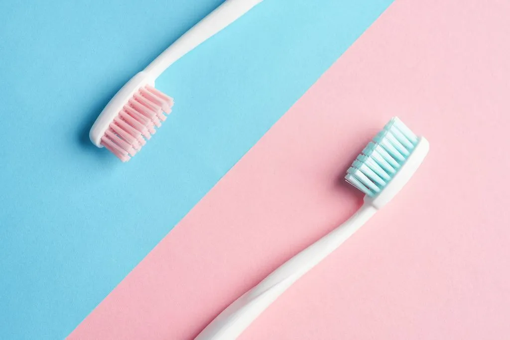 入れ歯のイメージ画像